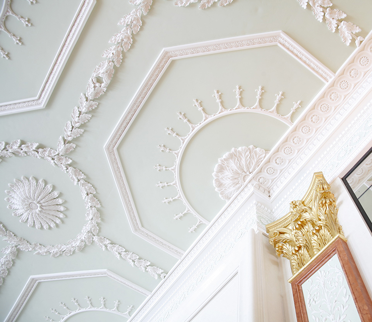 ornamental plaster ceiling